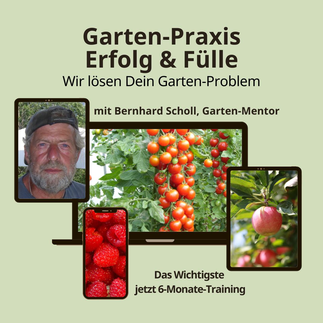 Garten-Praxis mit Garten-Mentor Bernhard Scholl