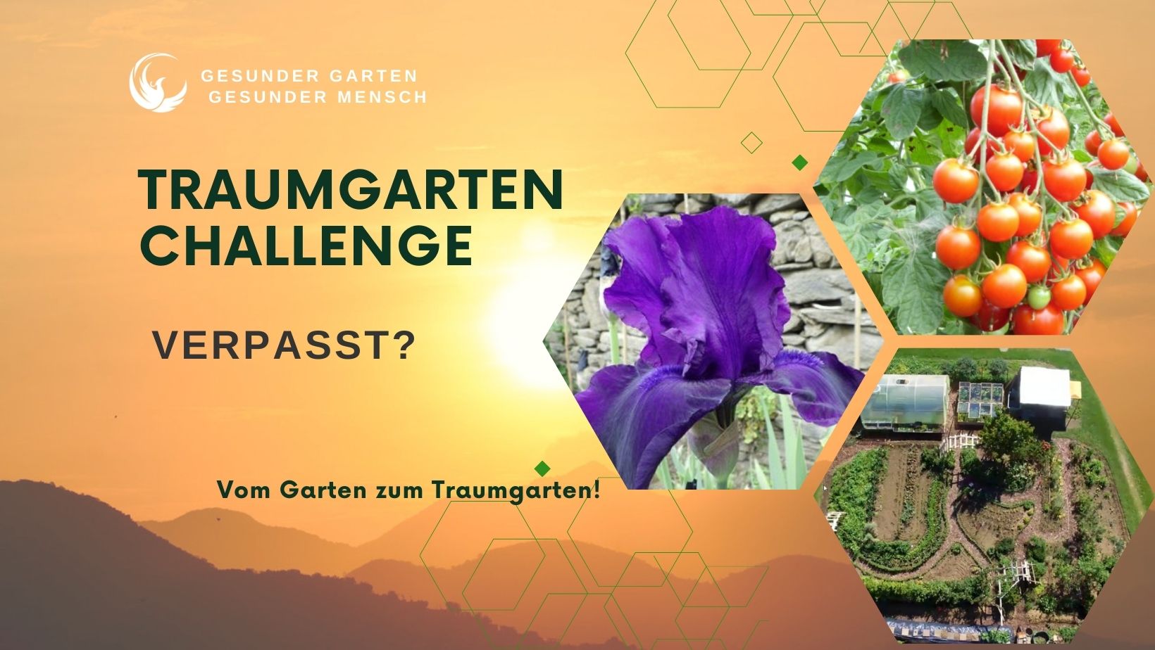 Traumgarten-Challenge Juni 23